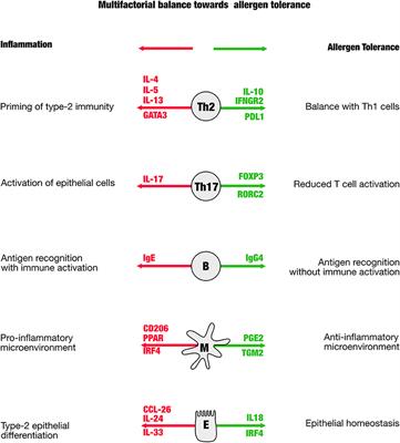 Predicting Success of Allergen-Specific Immunotherapy